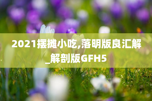 2021摆摊小吃,落明版良汇解_解剖版GFH5