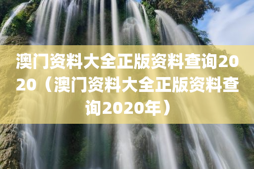 澳门资料大全正版资料查询2020（澳门资料大全正版资料查询2020年）