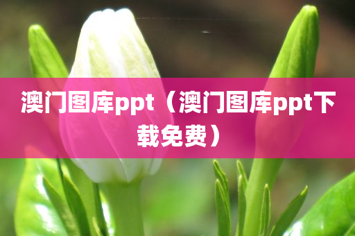 澳门图库ppt（澳门图库ppt下载免费）