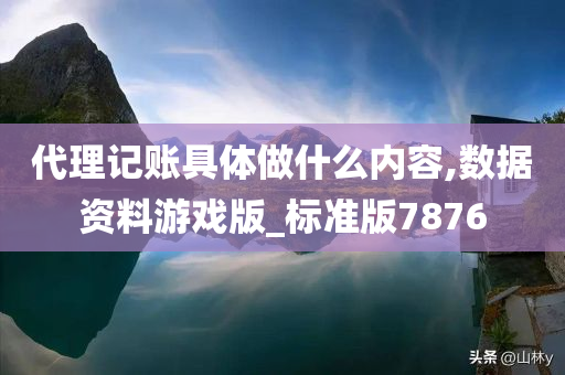 代理记账具体做什么内容,数据资料游戏版_标准版7876