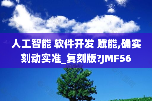 人工智能 软件开发 赋能,确实刻动实准_复刻版?JMF56