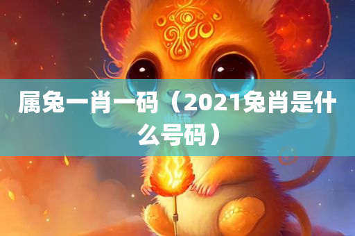 属兔一肖一码（2021兔肖是什么号码）