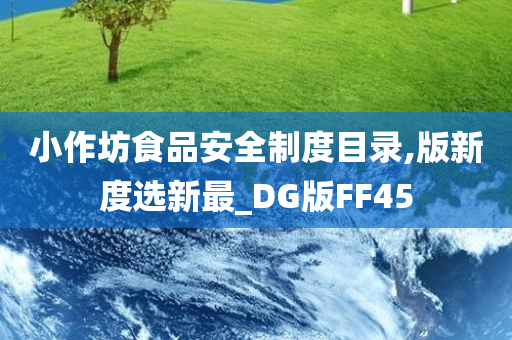 小作坊食品安全制度目录,版新度选新最_DG版FF45