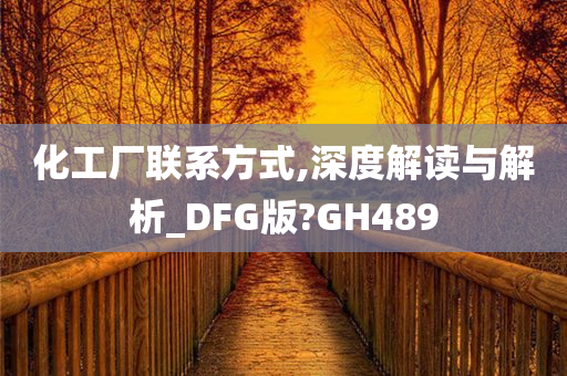 化工厂联系方式,深度解读与解析_DFG版?GH489