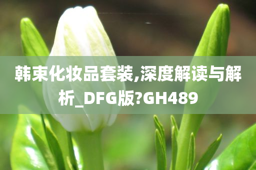 韩束化妆品套装,深度解读与解析_DFG版?GH489