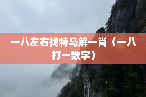 一八左右找特马解一肖（一八打一数字）