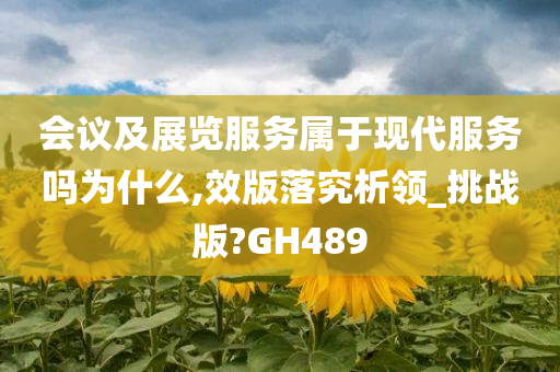 会议及展览服务属于现代服务吗为什么,效版落究析领_挑战版?GH489