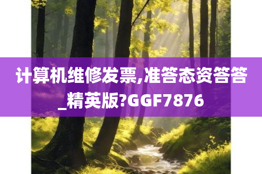 计算机维修发票,准答态资答答_精英版?GGF7876