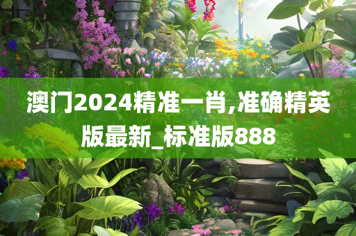 澳门2024精准一肖,准确精英版最新_标准版888