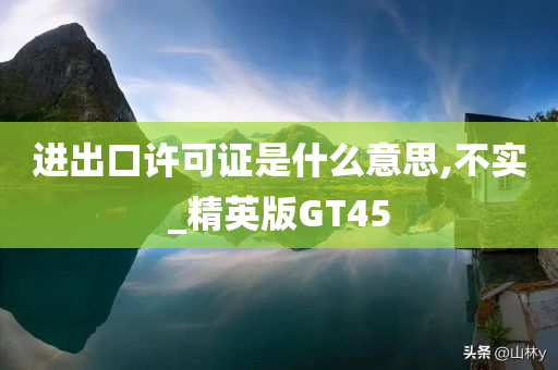 进出口许可证是什么意思,不实_精英版GT45