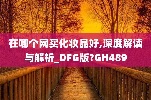 在哪个网买化妆品好,深度解读与解析_DFG版?GH489