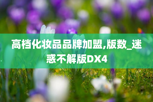 高档化妆品品牌加盟,版数_迷惑不解版DX4