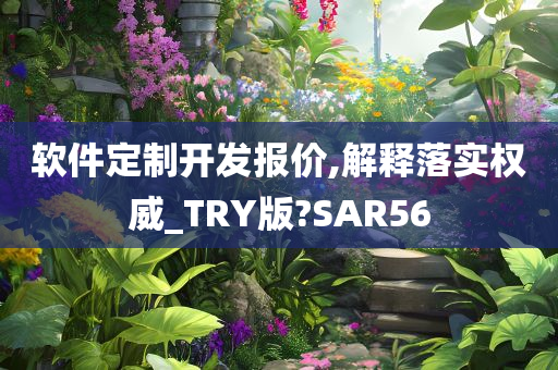 软件定制开发报价,解释落实权威_TRY版?SAR56