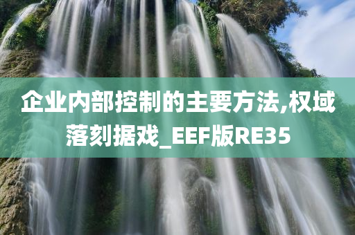 企业内部控制的主要方法,权域落刻据戏_EEF版RE35