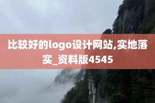 比较好的logo设计网站,实地落实_资料版4545