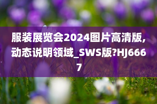 服装展览会2024图片高清版,动态说明领域_SWS版?HJ6667