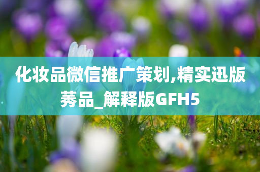 化妆品微信推广策划,精实迅版莠品_解释版GFH5