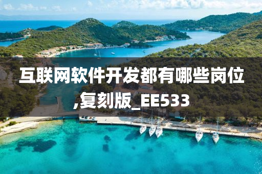 互联网软件开发都有哪些岗位,复刻版_EE533