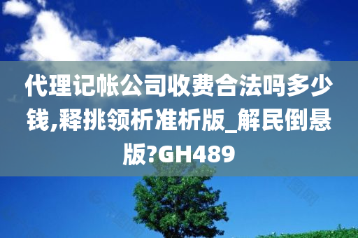 代理记帐公司收费合法吗多少钱,释挑领析准析版_解民倒悬版?GH489