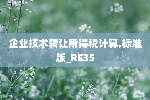 企业技术转让所得税计算,标准版_RE35