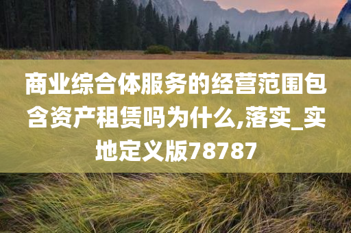 商业综合体服务的经营范围包含资产租赁吗为什么,落实_实地定义版78787