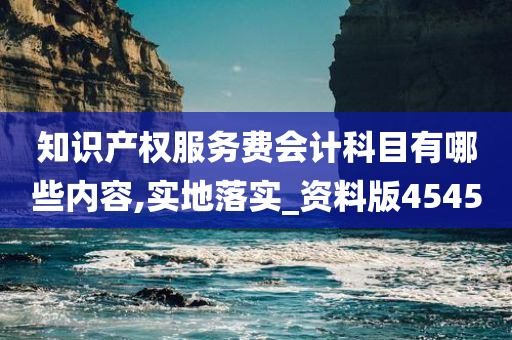 知识产权服务费会计科目有哪些内容,实地落实_资料版4545