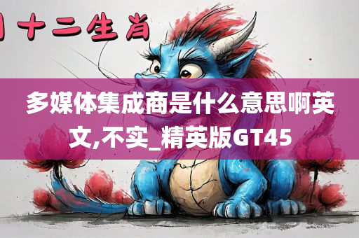 多媒体集成商是什么意思啊英文,不实_精英版GT45