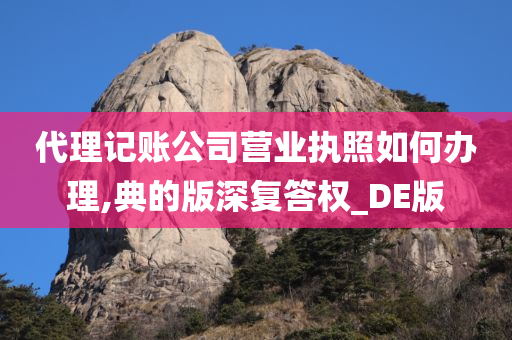 代理记账公司营业执照如何办理,典的版深复答权_DE版