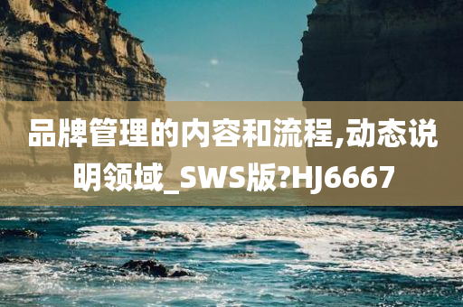 品牌管理的内容和流程,动态说明领域_SWS版?HJ6667