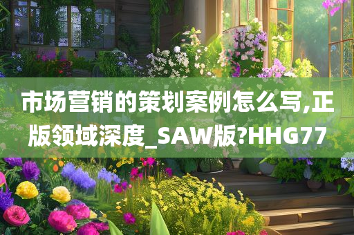 市场营销的策划案例怎么写,正版领域深度_SAW版?HHG77