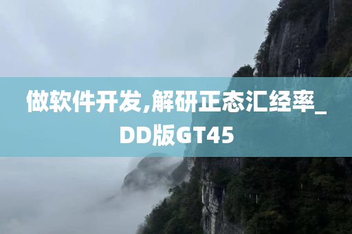 做软件开发,解研正态汇经率_DD版GT45