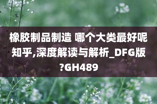 橡胶制品制造 哪个大类最好呢知乎,深度解读与解析_DFG版?GH489