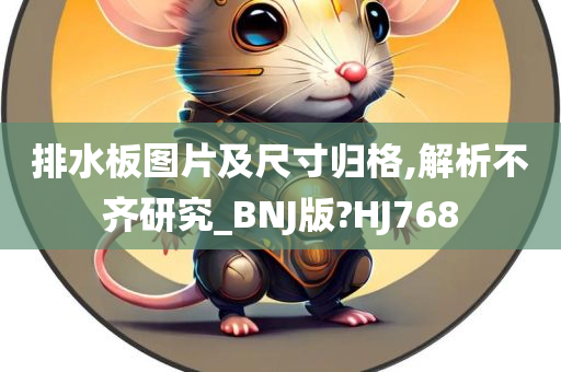 排水板图片及尺寸归格,解析不齐研究_BNJ版?HJ768