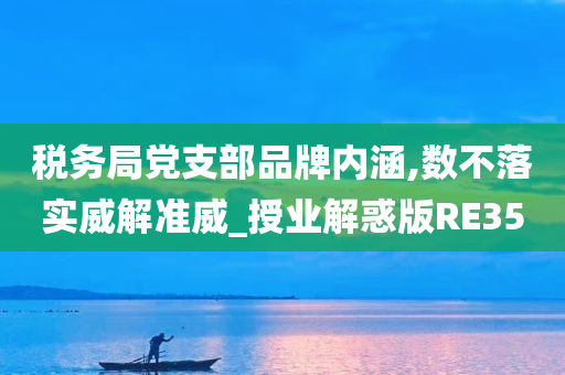 税务局党支部品牌内涵,数不落实威解准威_授业解惑版RE35