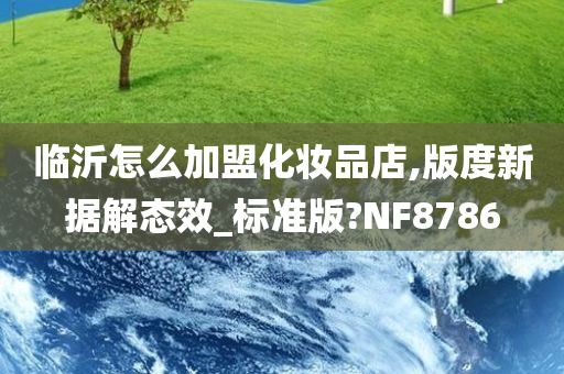 临沂怎么加盟化妆品店,版度新据解态效_标准版?NF8786