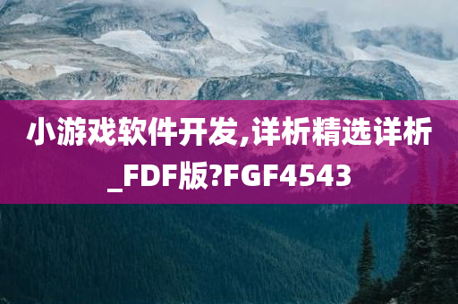 小游戏软件开发,详析精选详析_FDF版?FGF4543