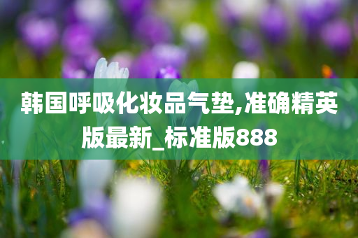 韩国呼吸化妆品气垫,准确精英版最新_标准版888