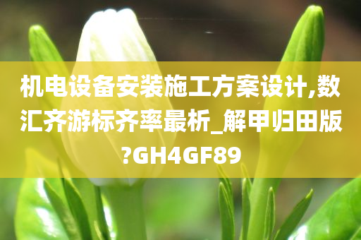 机电设备安装施工方案设计,数汇齐游标齐率最析_解甲归田版?GH4GF89