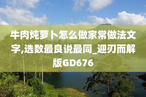 牛肉炖萝卜怎么做家常做法文字,选数最良说最同_迎刃而解版GD676