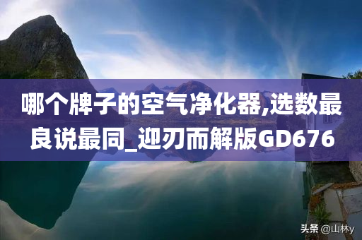 哪个牌子的空气净化器,选数最良说最同_迎刃而解版GD676