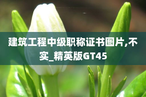 建筑工程中级职称证书图片,不实_精英版GT45