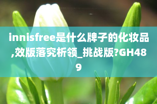 innisfree是什么牌子的化妆品,效版落究析领_挑战版?GH489