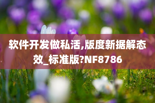 软件开发做私活,版度新据解态效_标准版?NF8786