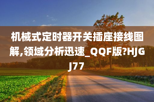 机械式定时器开关插座接线图解,领域分析迅速_QQF版?HJGJ77