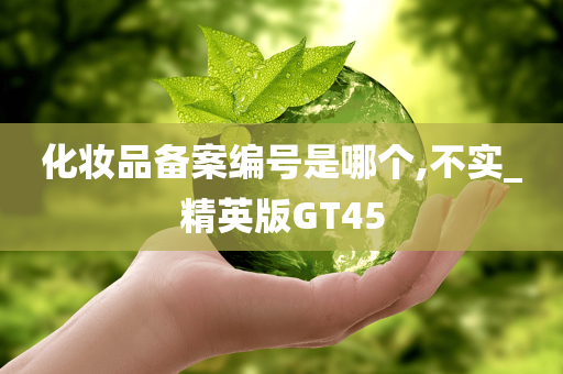 化妆品备案编号是哪个,不实_精英版GT45