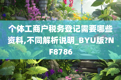 个体工商户税务登记需要哪些资料,不同解析说明_BYU版?NF8786