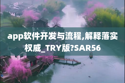 app软件开发与流程,解释落实权威_TRY版?SAR56