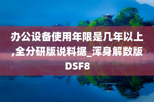 办公设备使用年限是几年以上,全分研版说料据_浑身解数版DSF8