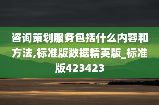 咨询策划服务包括什么内容和方法,标准版数据精英版_标准版423423