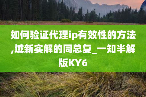 如何验证代理ip有效性的方法,域新实解的同总复_一知半解版KY6